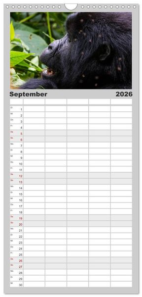 Produktbild: Familienplaner 2026 - Gorillas ohne Nebel mit 5 Spalten (Wandkalender, 21 x 45 cm) CALVENDO