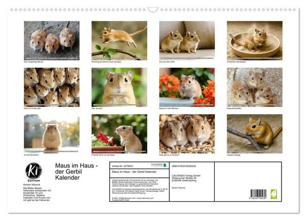 Produktbild: Maus im Haus - der Gerbil Kalender (Wandkalender 2026 DIN A2 quer), CALVENDO Monatskalender