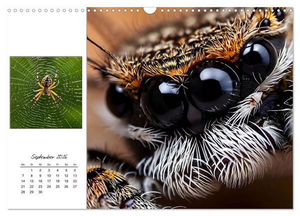 Produktbild: Facettenaugen - Meisterwerke der Natur (Wandkalender 2026 DIN A3 quer), CALVENDO Monatskalender