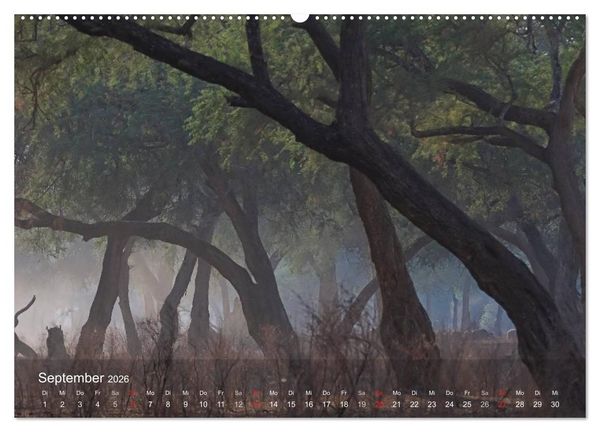 Produktbild: Zimbabwe (Wandkalender 2026 DIN A2 quer), CALVENDO Monatskalender