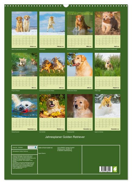 Produktbild: Jahresplaner Golden Retriever (Wandkalender 2026 DIN A2 hoch), CALVENDO Monatskalender