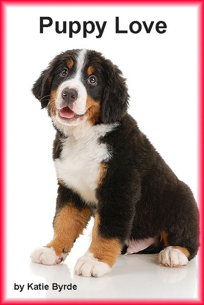 Produktbild: Puppy Love