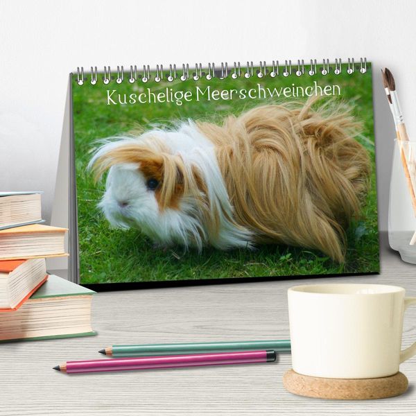 Produktbild: Kuschelige Meerschweinchen (Tischkalender 2026 DIN A5 quer), CALVENDO Monatskalender