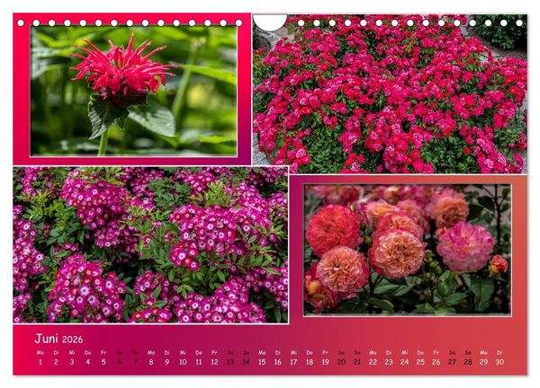 Produktbild: Erfurt erbl&uuml;ht (Wandkalender 2026 DIN A4 quer), CALVENDO Monatskalender