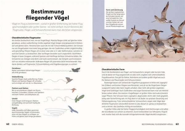 Produktbild: V&ouml;gel beobachten und ihre Lebensr&auml;ume kennenlernen