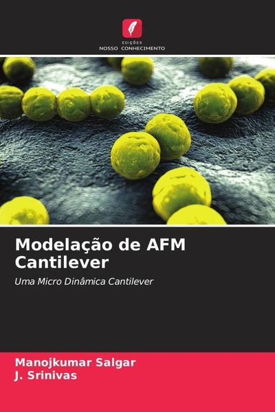 Produktbild: Modela&ccedil;&atilde;o de AFM Cantilever