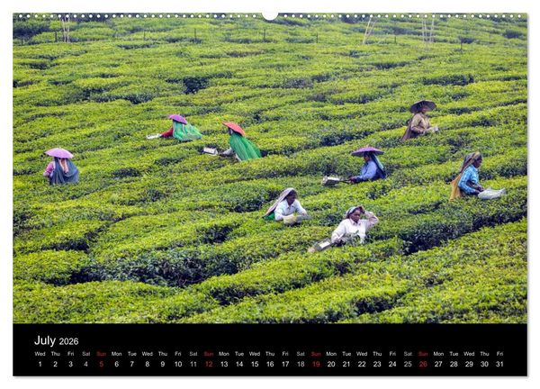 Produktbild: India - Magical Cities and Landscapes (High Quality Premium Wall Calendar 2026 DIN A2 landscape),CALVENDO 12 Month Wall Calendar