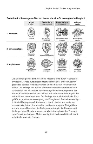 Produktbild: Die Zucker-Revolution