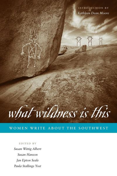 Produktbild: What Wildness Is This