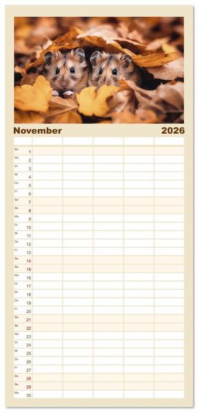 Produktbild: Familienplaner 2026 - Wild und flauschig - Hamster - Abenteuer in freier Natur mit 5 Spalten (Wandkalender, 21 x 45 cm) CALVENDO