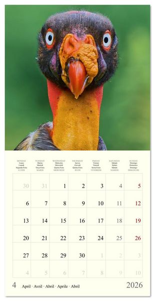 Produktbild: Royaume de nature Costa Rica (Calendrier mural carr&eacute; 2026 30x30 cm) Calendrier double avec une page pour vos prises de notes