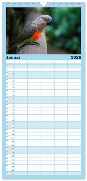 Produktbild: Familienplaner 2026 - Papageien - Frech, sch&ouml;n und schlau mit 5 Spalten (Wandkalender, 21 x 45 cm) CALVENDO