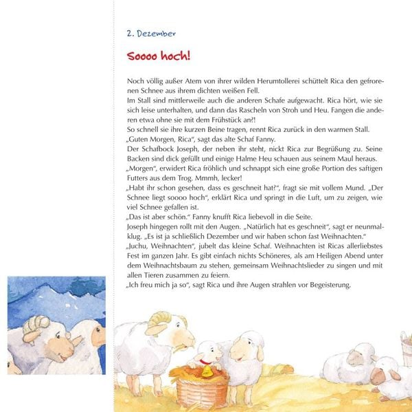Produktbild: Rica sucht das Christkind