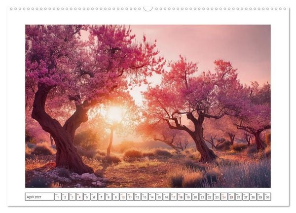 Produktbild: Die Magie der Olivenhaine (Wandkalender 2027 DIN A2 quer), CALVENDO Monatskalender