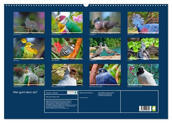 Produktbild: Wer gurrt denn da? (Wandkalender 2026 DIN A2 quer), CALVENDO Monatskalender