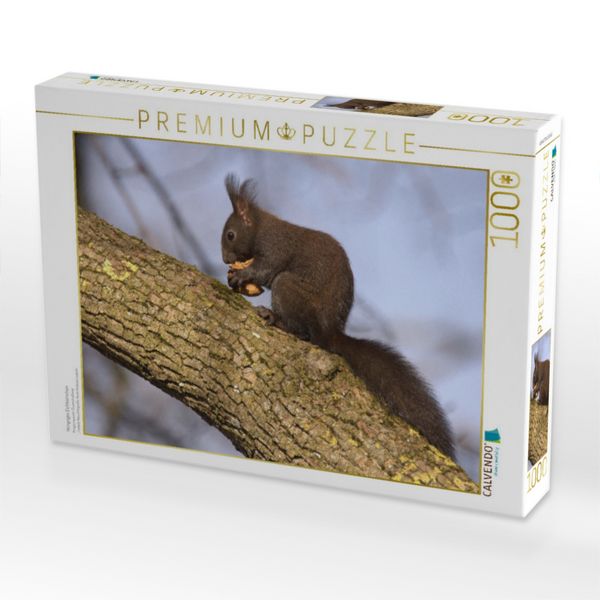 Produktbild: CALVENDO Puzzle Hungriges Eichh&ouml;rnchen | 1000 Teile Lege-Gr&ouml;&szlig;e 64x48cm Foto-Puzzle f&uuml;r gl&uuml;ckliche Stunden
