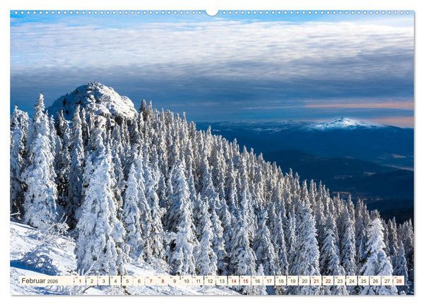 Produktbild: Im Zauber der W&auml;lder (Wandkalender 2026 DIN A2 quer), CALVENDO Monatskalender