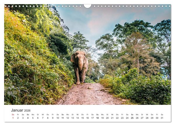 Produktbild: Thailand - Das Land des L&auml;chelns. (Wandkalender 2026 DIN A3 quer), CALVENDO Monatskalender