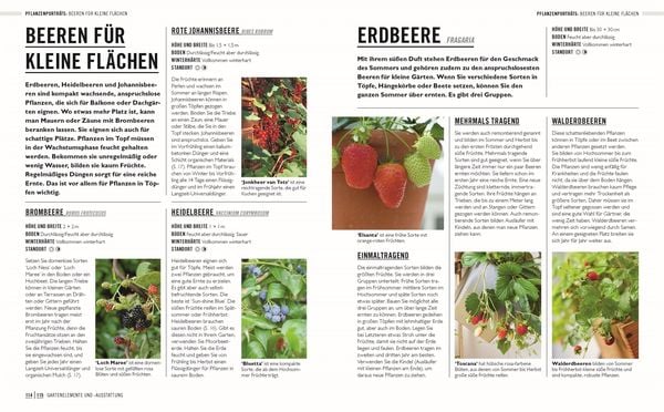 Grünes Gartenwissen. Kleine Gärten optimal gestaltet