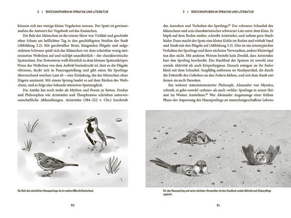 Produktbild: Der Spatz
