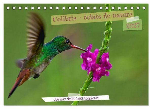 Produktbild: Colibris &ndash; &eacute;clats de nature (Calendrier de bureau 2027 DIN A5 vertical), CALVENDO calendrier mensuel