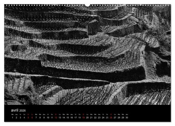Produktbild: VIGNES DU SUD terroirs d'AOC (Calendrier mural 2026 DIN A2 vertical) calendrier de bureau