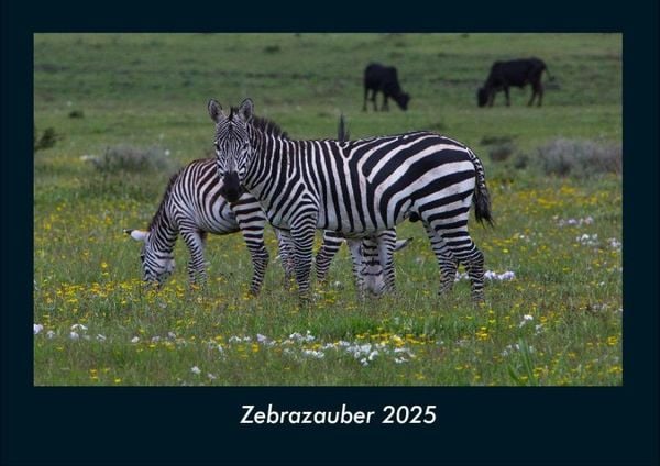 Produktbild: Zebrazauber 2025 Fotokalender DIN A4