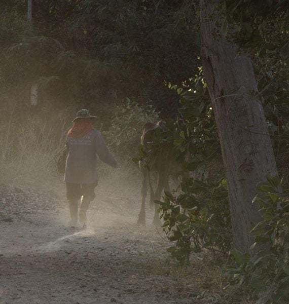 Produktbild: The Village