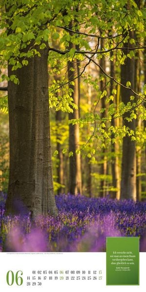 Produktbild: Mythos Wald Literatur-Kalender 2027