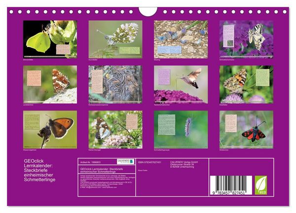Produktbild: GEOclick Lernkalender: Steckbriefe einheimischer Schmetterlinge (Wandkalender 2026 DIN A4 quer), CALVENDO Monatskalender