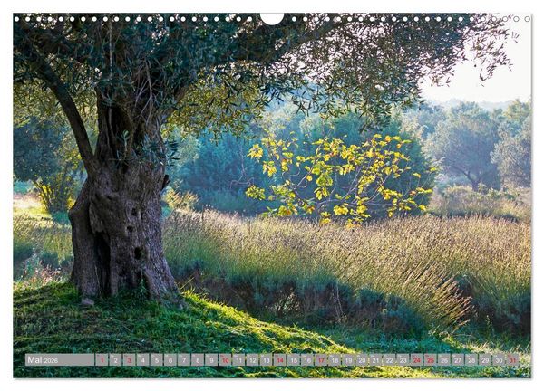 Produktbild: ISTRIEN (Wandkalender 2026 DIN A3 quer), CALVENDO Monatskalender