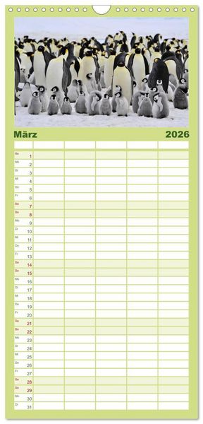 Produktbild: Familienplaner 2026 - Pinguine - Watscheln im festlichen Kleid mit 5 Spalten (Wandkalender, 21 x 45 cm) CALVENDO