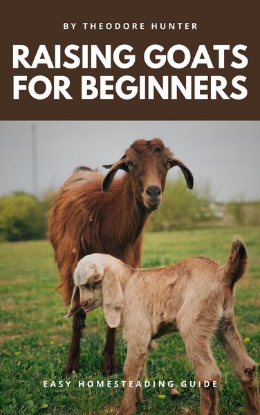 Produktbild: Raising Goats for Beginners: Easy Homesteading Guide
