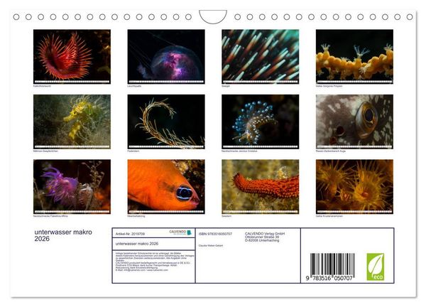 Produktbild: unterwasser makro 2026 (Wandkalender 2026 DIN A4 quer), CALVENDO Monatskalender