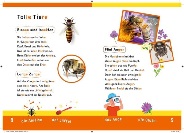 Produktbild: Dein Lesestart: Wei&szlig;t du schon alles &uuml;ber Bienen? Ab 1. Klasse