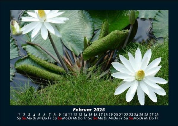 Produktbild: Rosentraum 2025 Fotokalender DIN A5