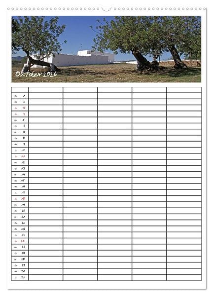 Produktbild: Ibiza / Familienplaner (Wandkalender 2026 DIN A2 hoch), CALVENDO Monatskalender