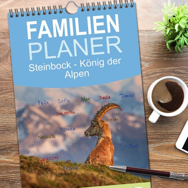 Produktbild: Familienplaner 2026 - Steinbock - K&ouml;nig der Alpen mit 5 Spalten (Wandkalender, 21 x 45 cm) CALVENDO
