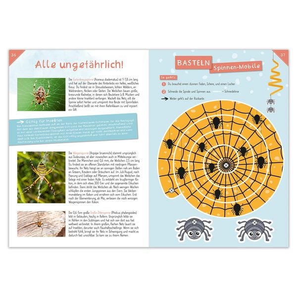 Produktbild: Activity Heft: K&auml;fer und Co.