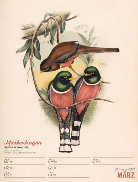 Produktbild: Wunderbare Vogelwelt Wochenplaner Kalender 2027