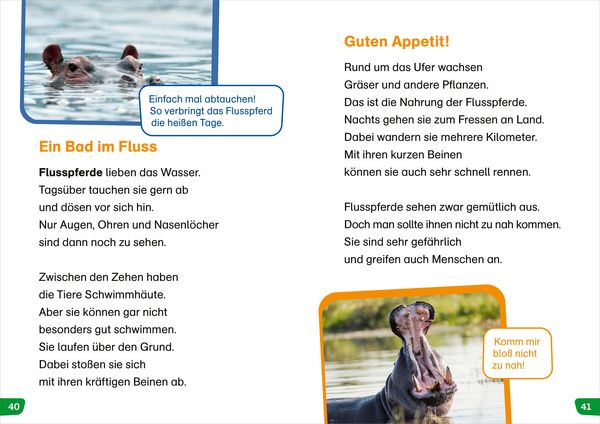 Produktbild: WAS IST WAS Erstes Lesen easy! Tiere in Afrika