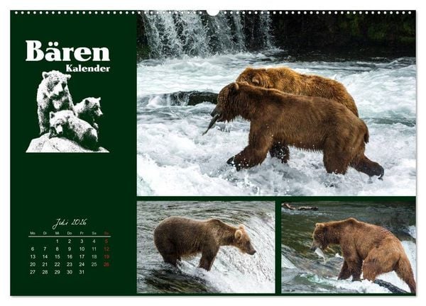 Produktbild: B&auml;renkalender (hochwertiger Premium Wandkalender 2026 DIN A2 quer), Kunstdruck in Hochglanz