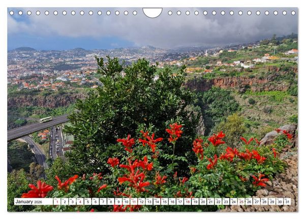 Produktbild: Madeira island of eternal spring (Wall Calendar 2026 DIN A4 landscape), CALVENDO 12 Month Wall Calendar