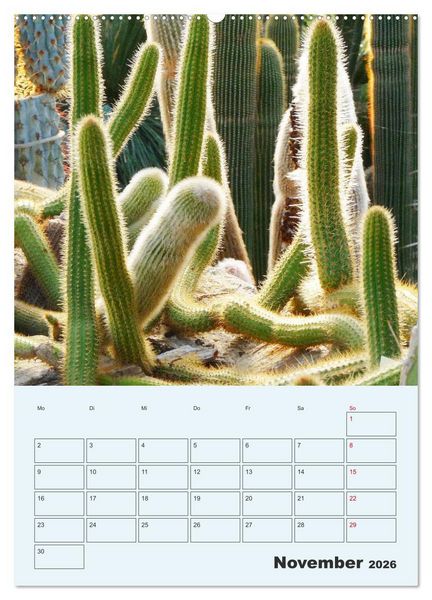 Produktbild: Wehrhafte Sukkulenten (Wandkalender 2026 DIN A2 hoch), CALVENDO Monatskalender