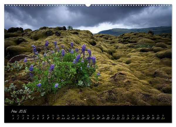 Produktbild: ISLAND - Traumlandschaften (Wandkalender 2026 DIN A2 quer), CALVENDO Monatskalender