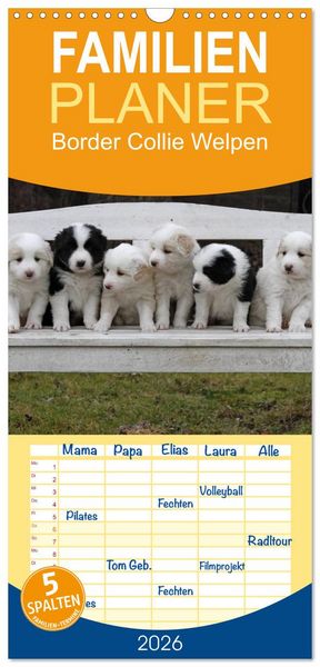 Produktbild: Familienplaner 2026 - Border Collie Welpen mit 5 Spalten (Wandkalender, 21 x 45 cm) CALVENDO