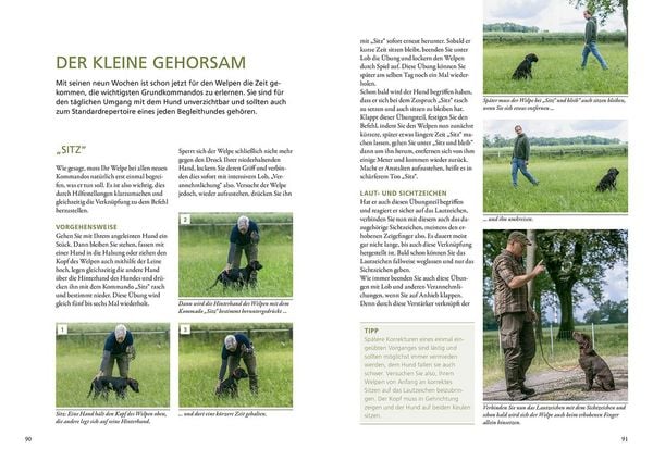 Produktbild: Der Jagdhundwelpe