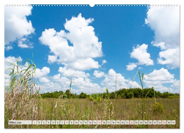 Produktbild: FLORIDA Paradiesischer Sonnenscheinstaat (Wandkalender 2026 DIN A2 quer), CALVENDO Monatskalender