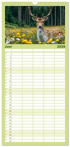 Produktbild: Familienplaner 2026 - HIRSCHE UND REHE - Ein Jahr in freier Wildbahn mit 5 Spalten (Wandkalender, 21 x 45 cm) CALVENDO