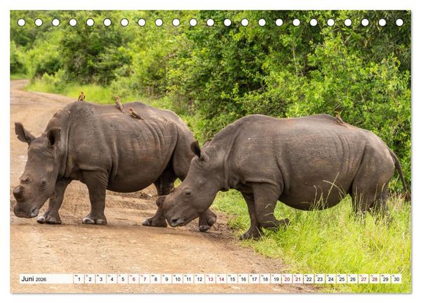 Produktbild: S&uuml;dafrika - Landschaft voller Vielfalt und Sch&ouml;nheit (Tischkalender 2026 DIN A5 quer), CALVENDO Monatskalender